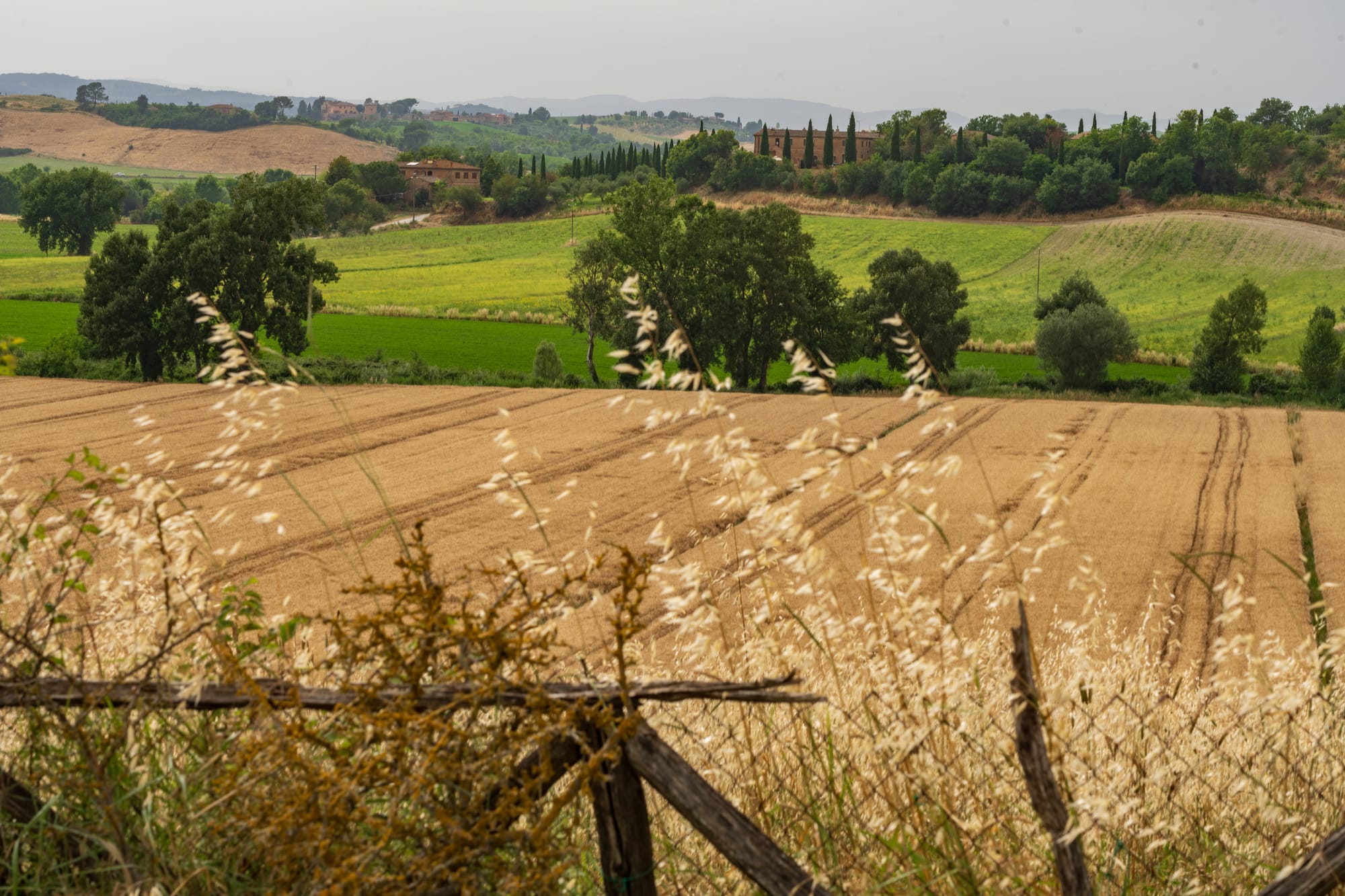 Clays of Siena, Part 3